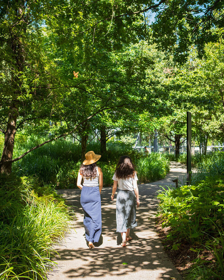 2V0A8314(c)Elements_Groupe