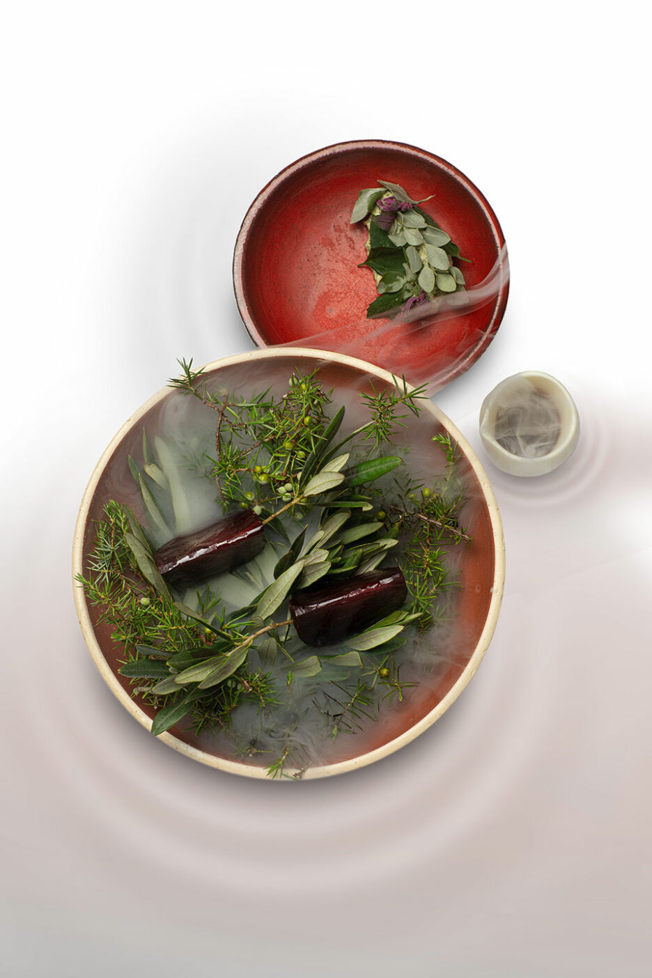 Betterave-LesOmbres_carte-sept22-3-B