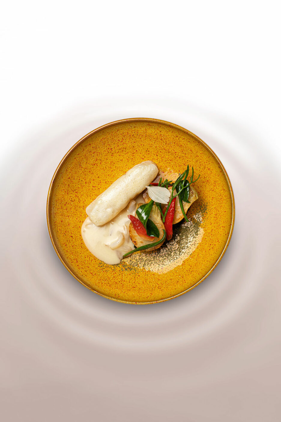 Turbot-LesOmbres_carte-sept22-6-B