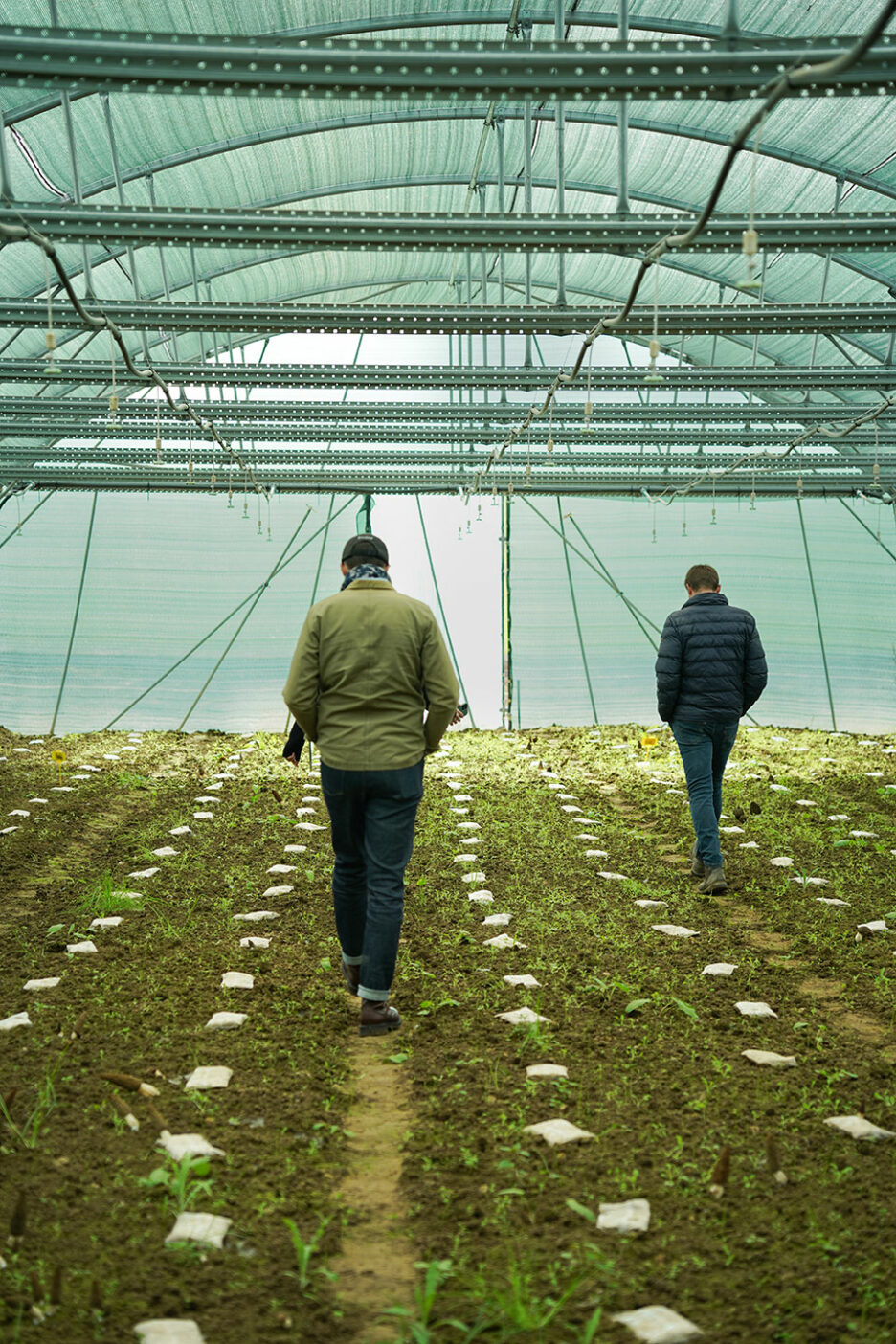 3.-FAIRE-ECHO-A-L_AIR-DU-TEMPS